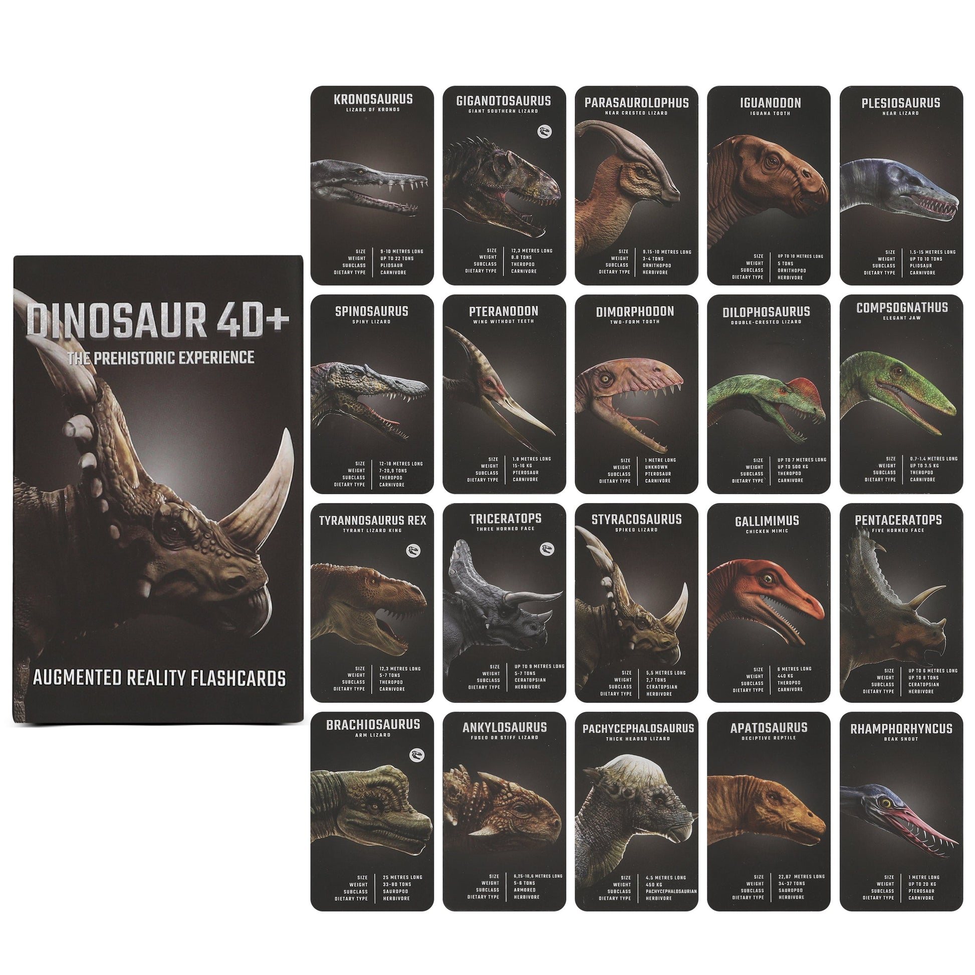 Dinosaur 4D+ Augmented Reality Cards Set of dinosaur augmented reality flashcards with a book titled 'Dinosaur 40+' on a white background.