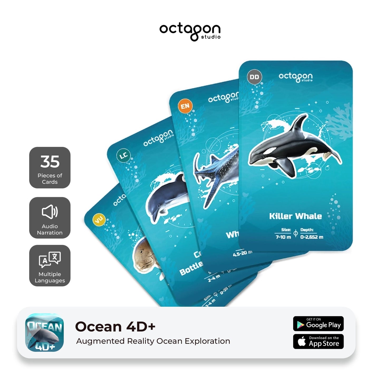Set of ocean-themed cards with illustrations of dolphins and a killer whale, featuring the Octagon Studio branding.