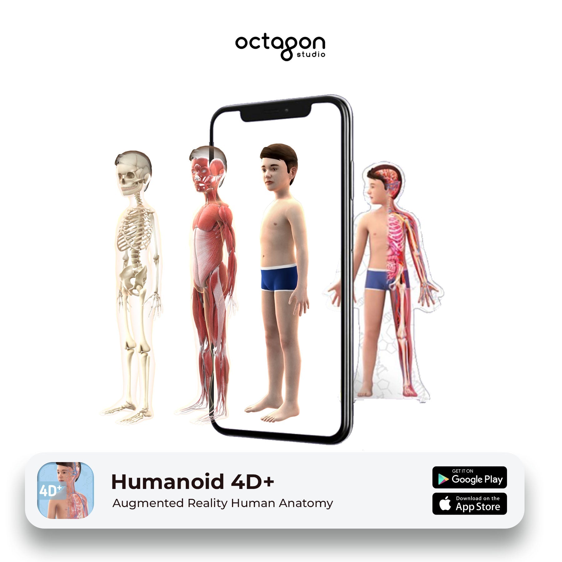 Augmented reality human anatomy app by Octagon Studio with smartphone displaying body models.