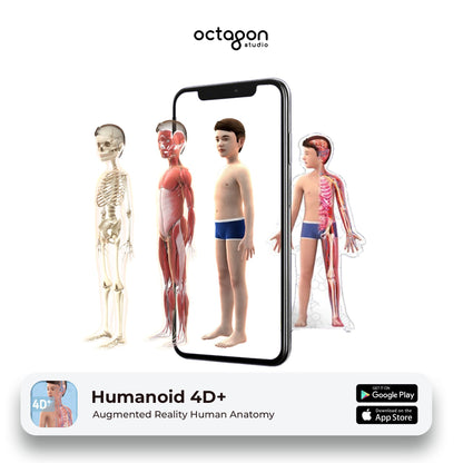 Augmented reality human anatomy app by Octagon Studio with smartphone displaying body models.