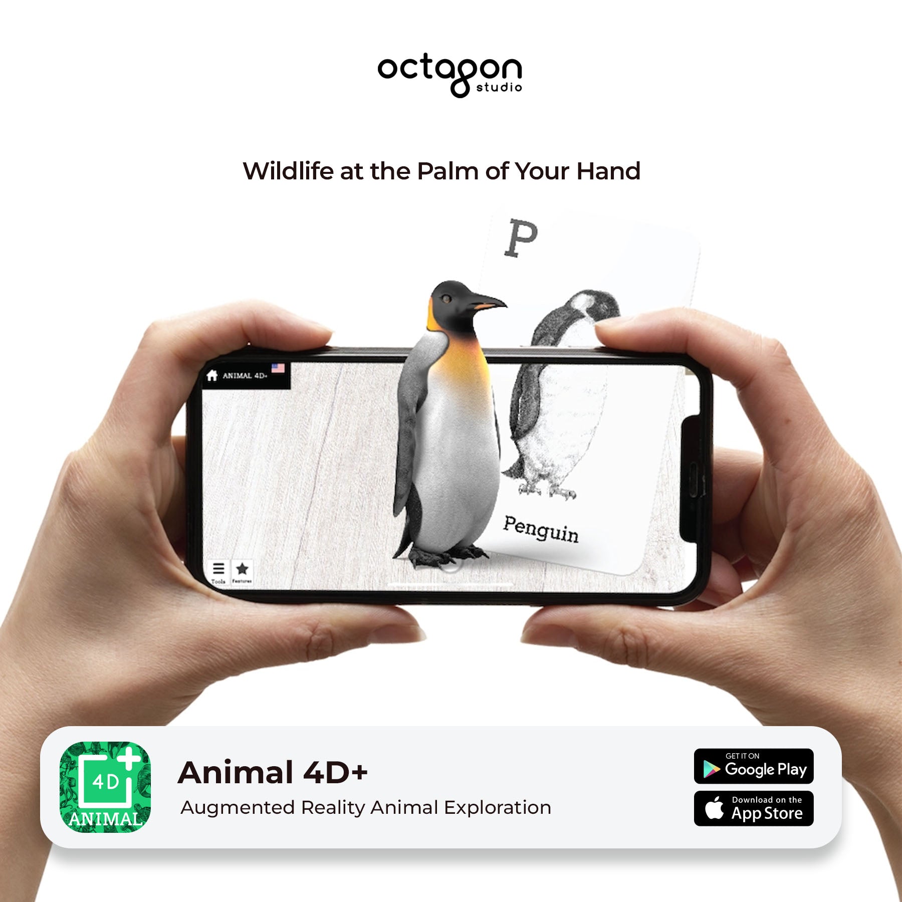 Animal 4D+ Augmented Reality Cards Person holding a smartphone with an augmented reality app showing a penguin, branded 'octagon studio'.