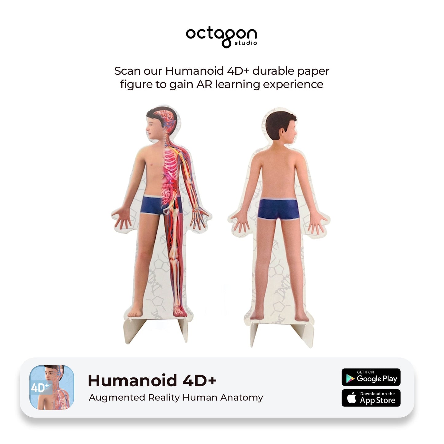 Humanoid 4D+ augmented reality anatomy model with visible branding and AR app information.