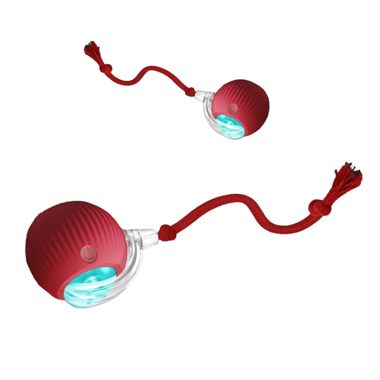 Interactive Rolling Cat Ball with Rechargeable Battery