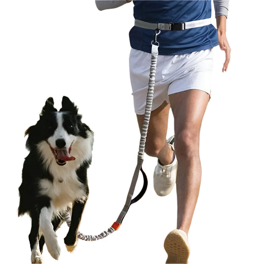 Retractable Hands Free Dog Leash for Running