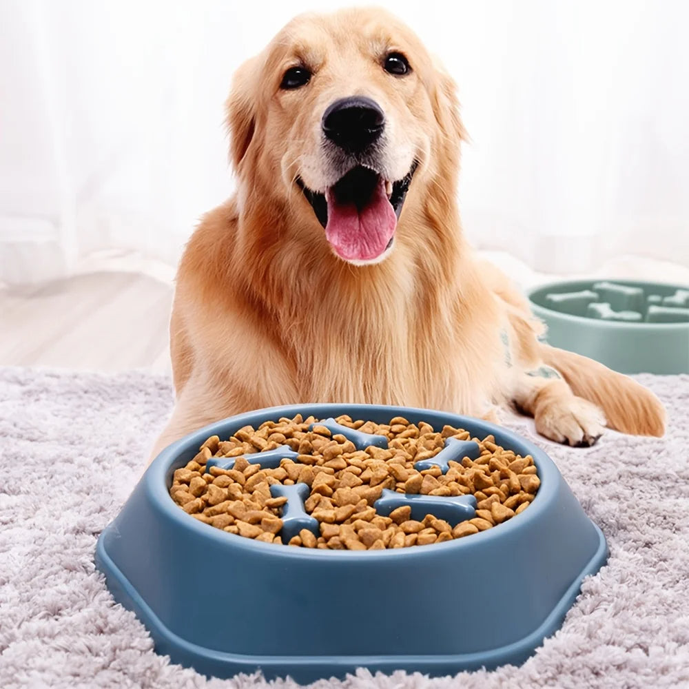 Anti-Tip Slow Feeder Dog Bowl