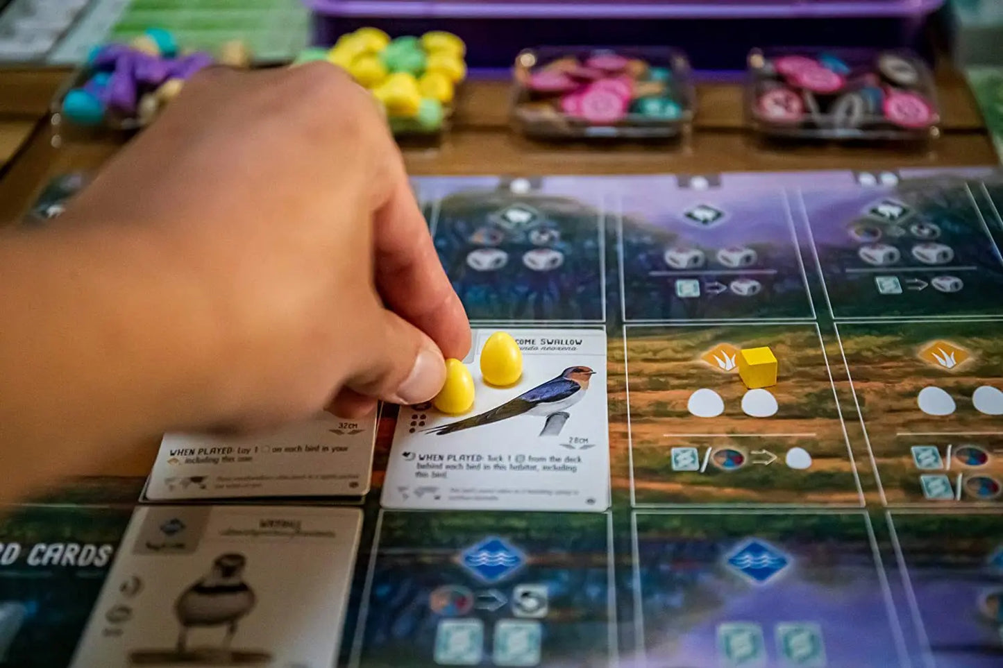 Wingspan Hummingbird Board Game | 2nd edition