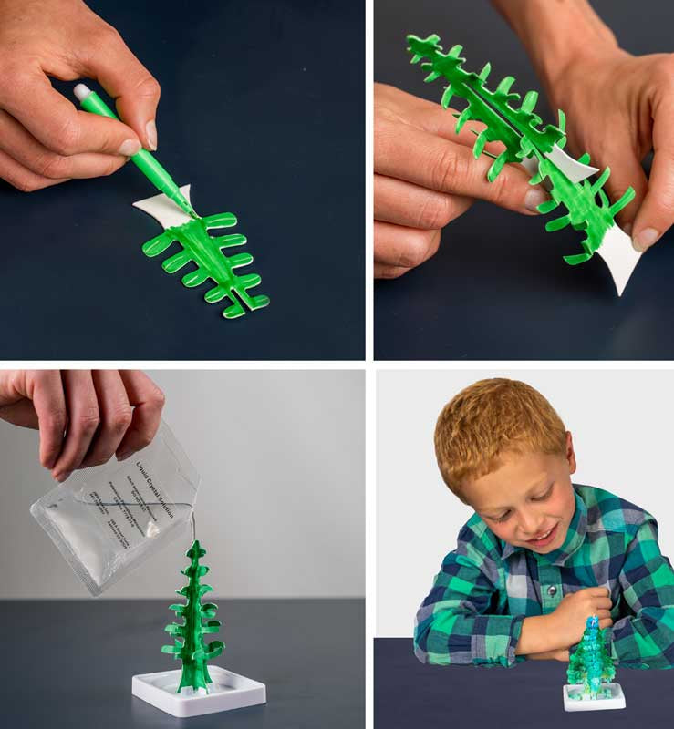 National Geographic Crystal Garden - Grow incredible crystal covered trees Step-by-step process of using a green plastic tree with a boy at the end.