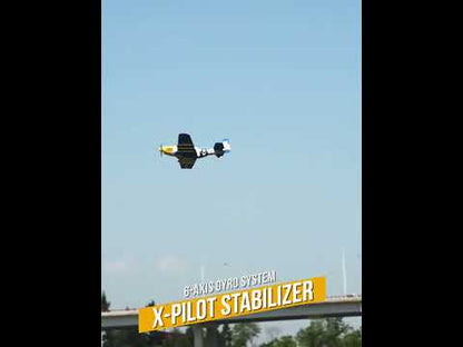 P51 Mustang "Obsession" 2.4GHz 4 Channel RTF RC Plane