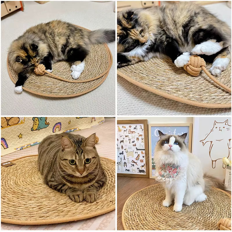 Cat Scratcher Rattan Mat and Ball