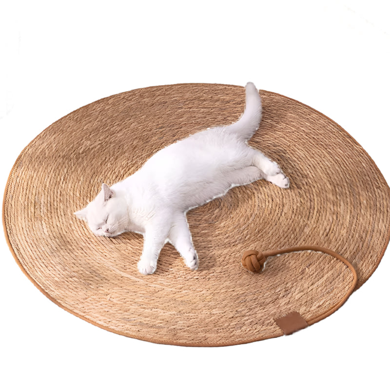 Cat Scratcher Rattan Mat and Ball