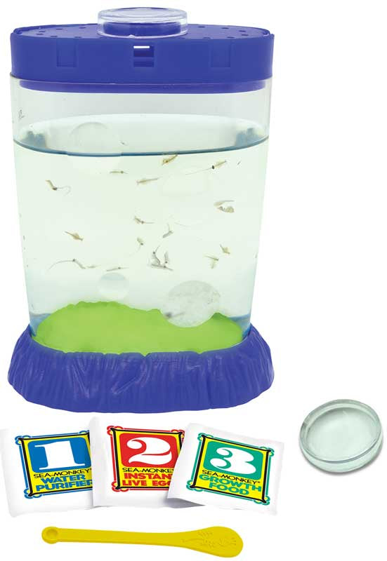 Fish tank with water, fish, and accessories on a white background