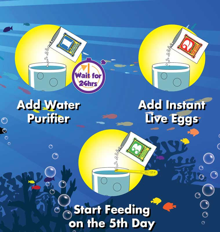 SEA MONKEYS MAGIQUARIUM Instructions for starting a fish tank with water purifier, live eggs, and feeding schedule on a blue underwater background.
